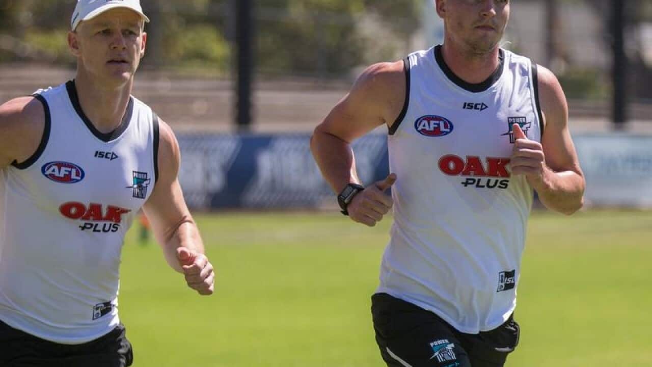 Port Adelaide's Tom Rockliff