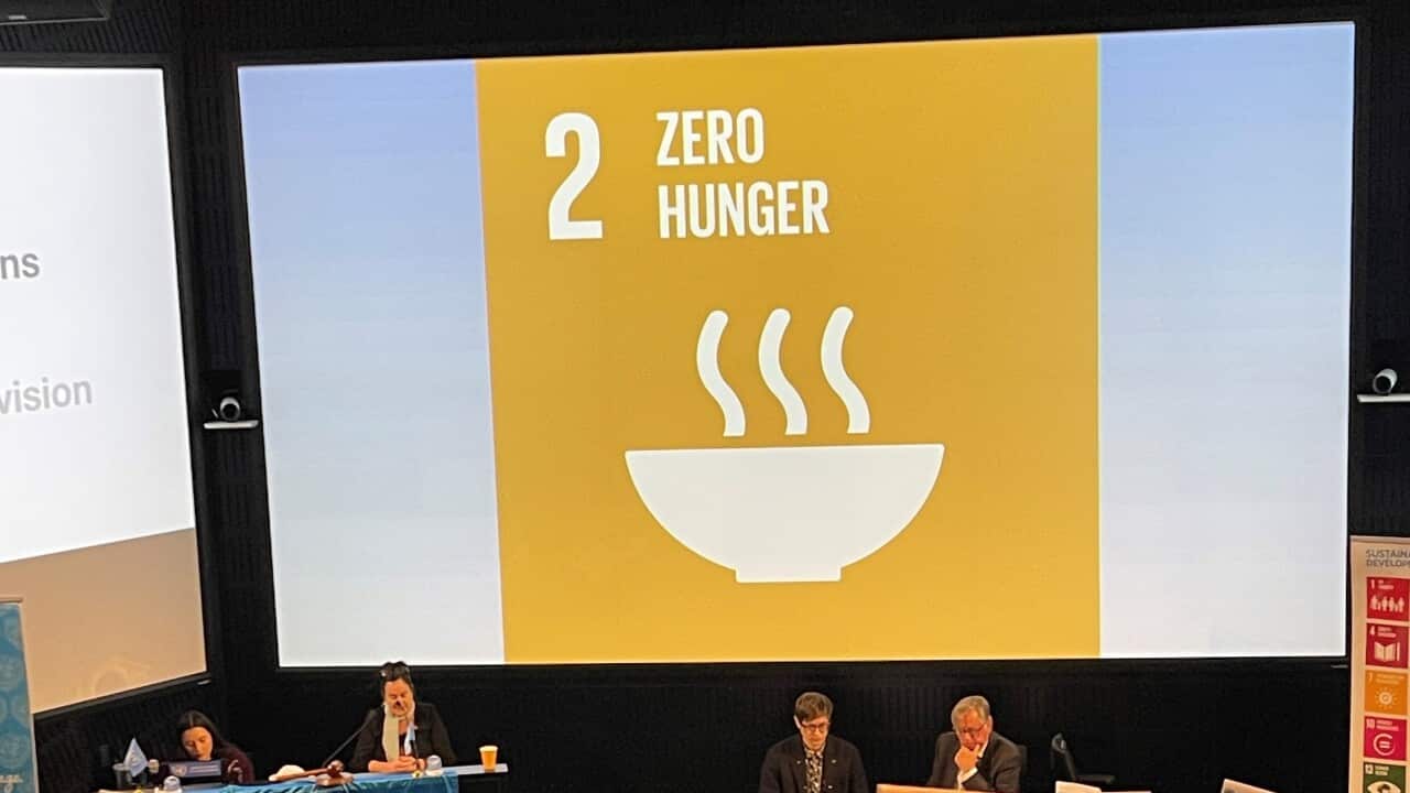 Model UN_Zero Hunger (2).jpg
