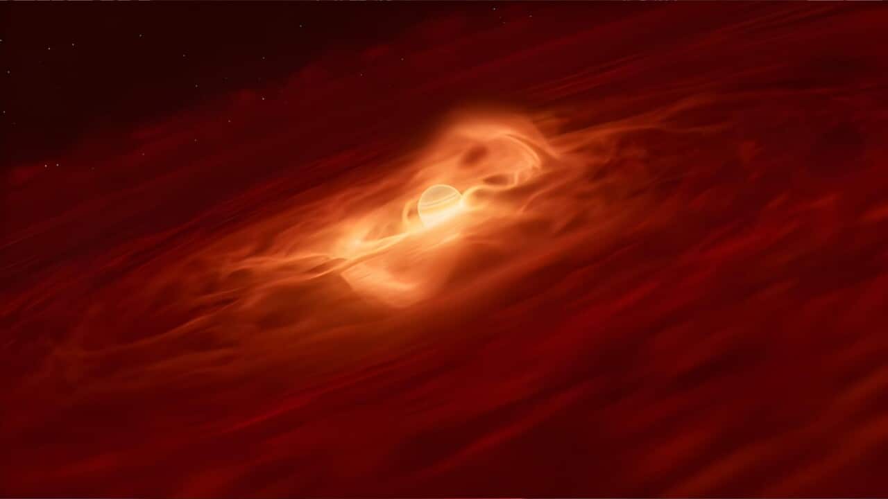 Image for read more article ''