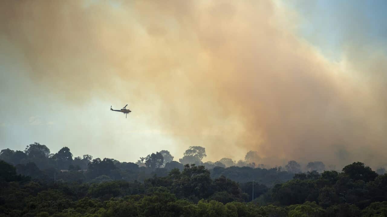 WA BUSHFIRES