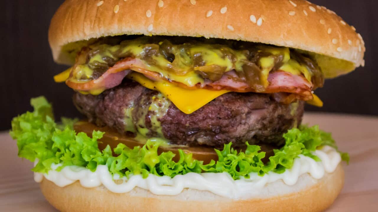 Why I’m obsessed with making the most sustainable burger possible