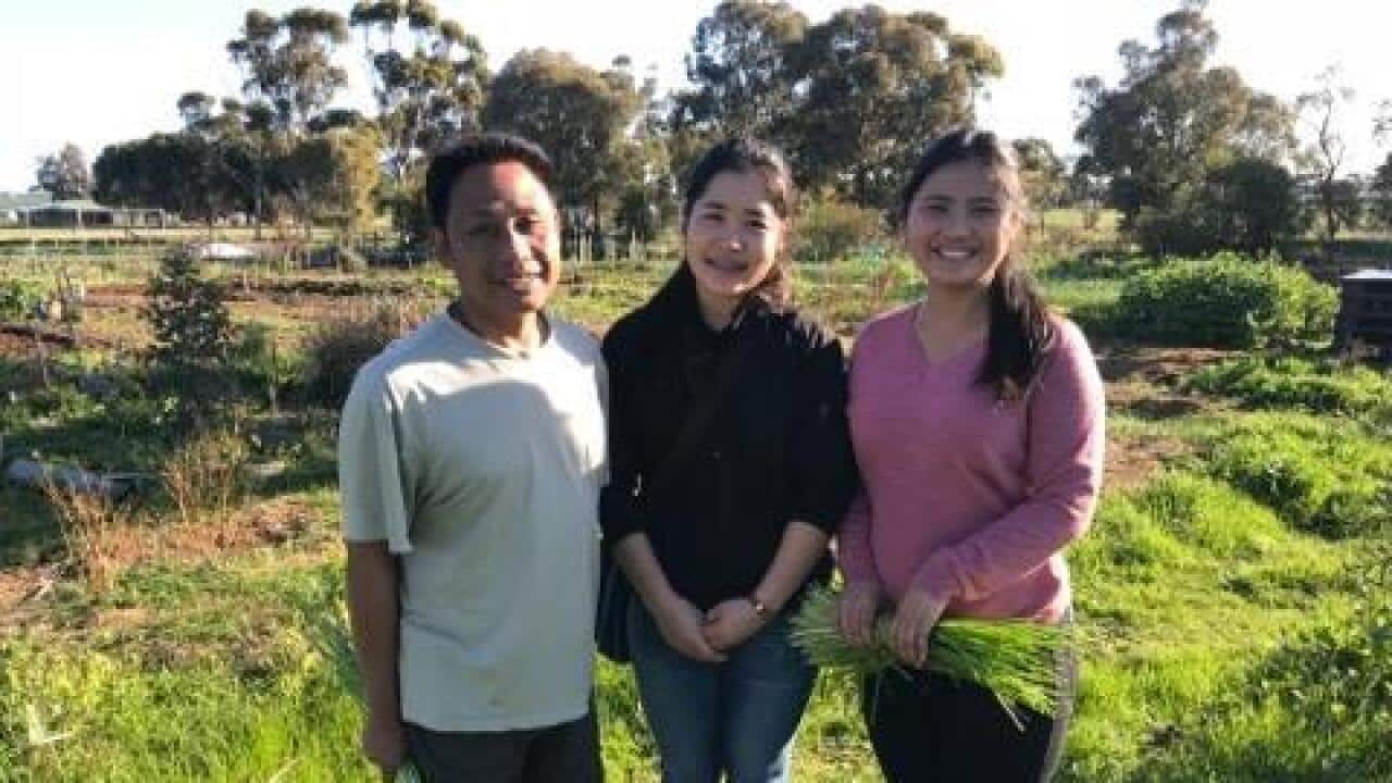 Thahser, Mura and Thablay in the Nhill Community Garden