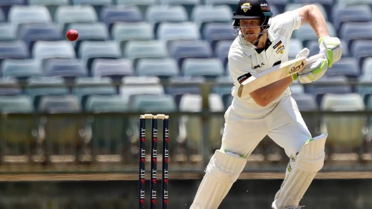 cricket
