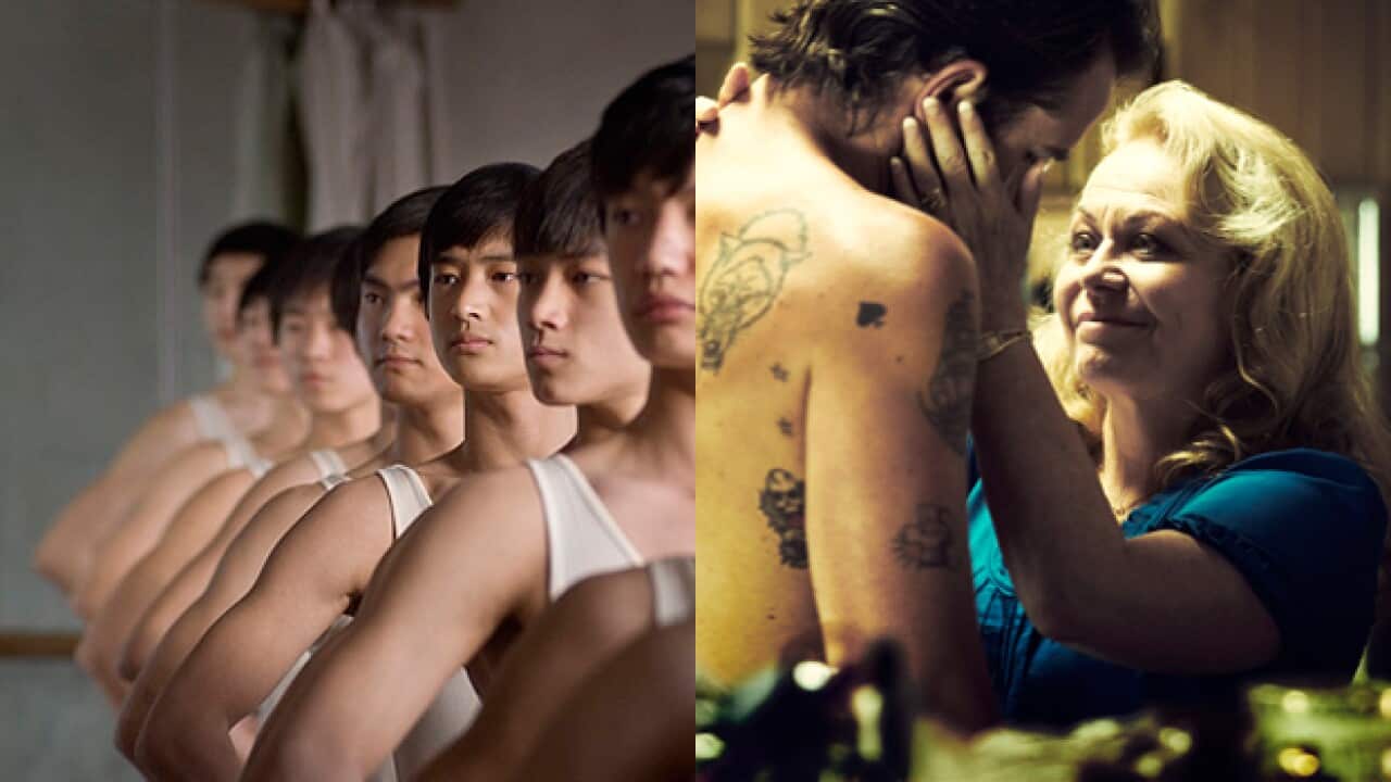 Animal_Mao_627_1937796817