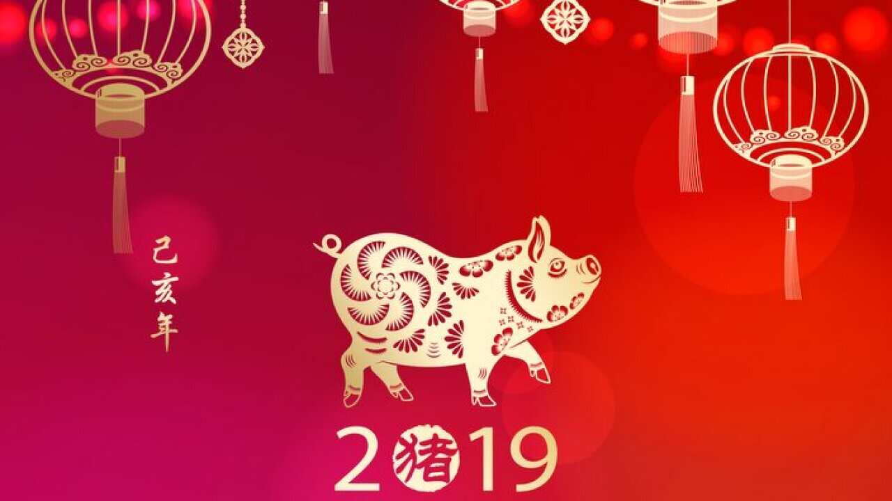 Celebrate Lunar New Year with Pig
