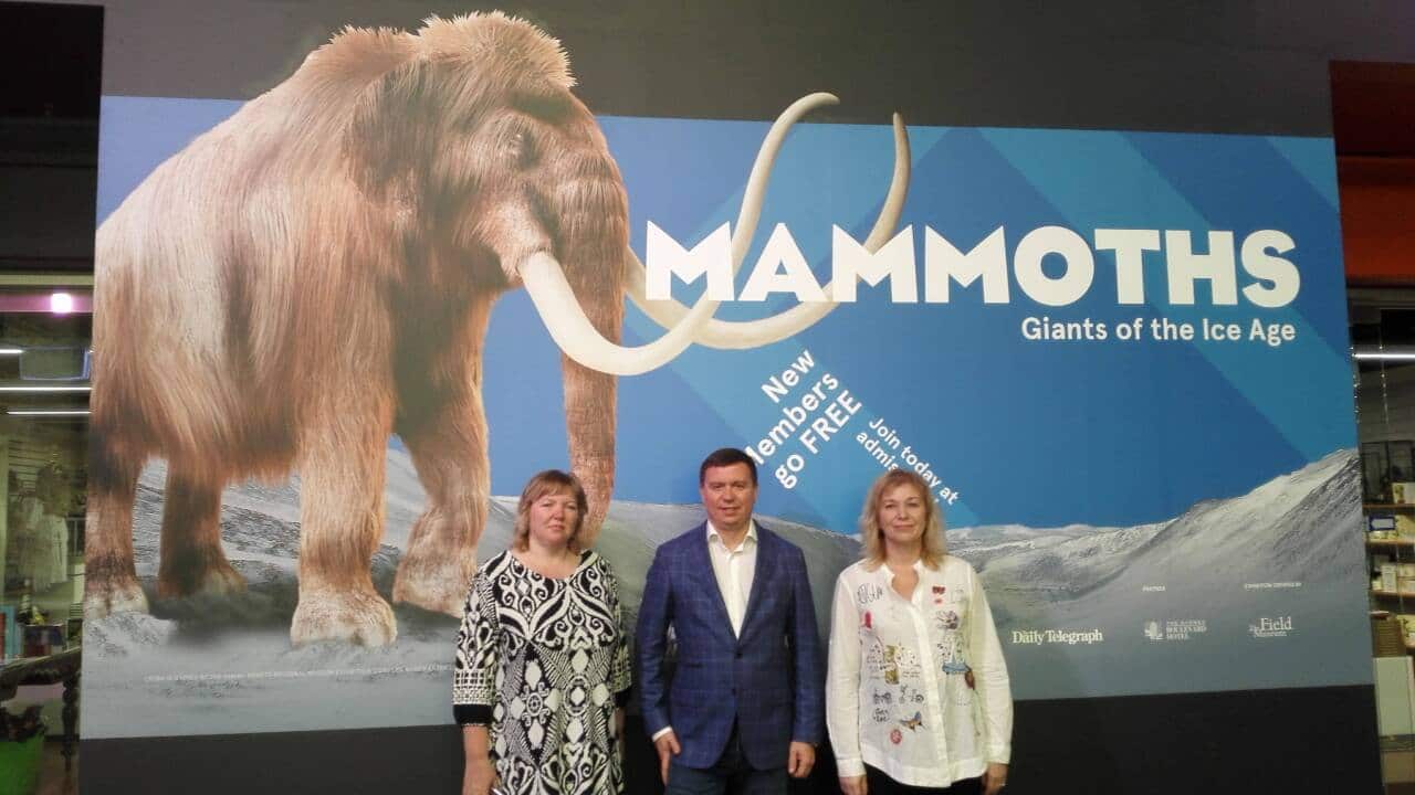 Photo by Svetlana Elgina