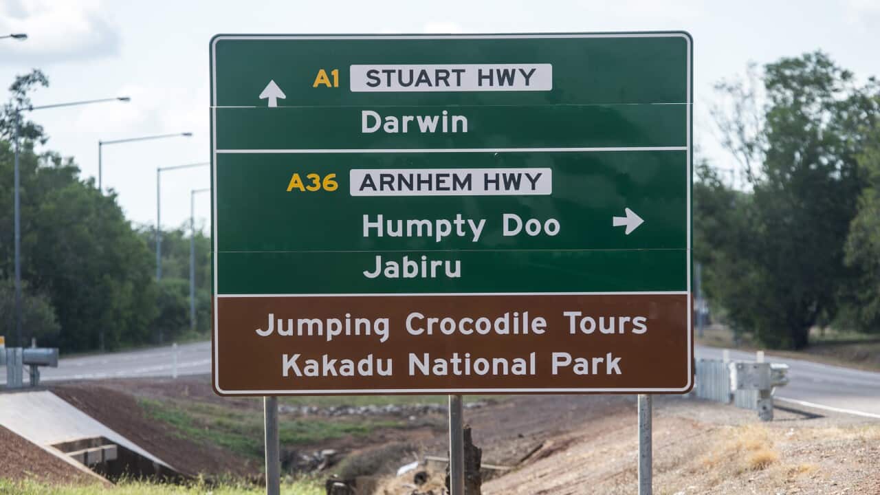 HIT AND RUN DEATH NT