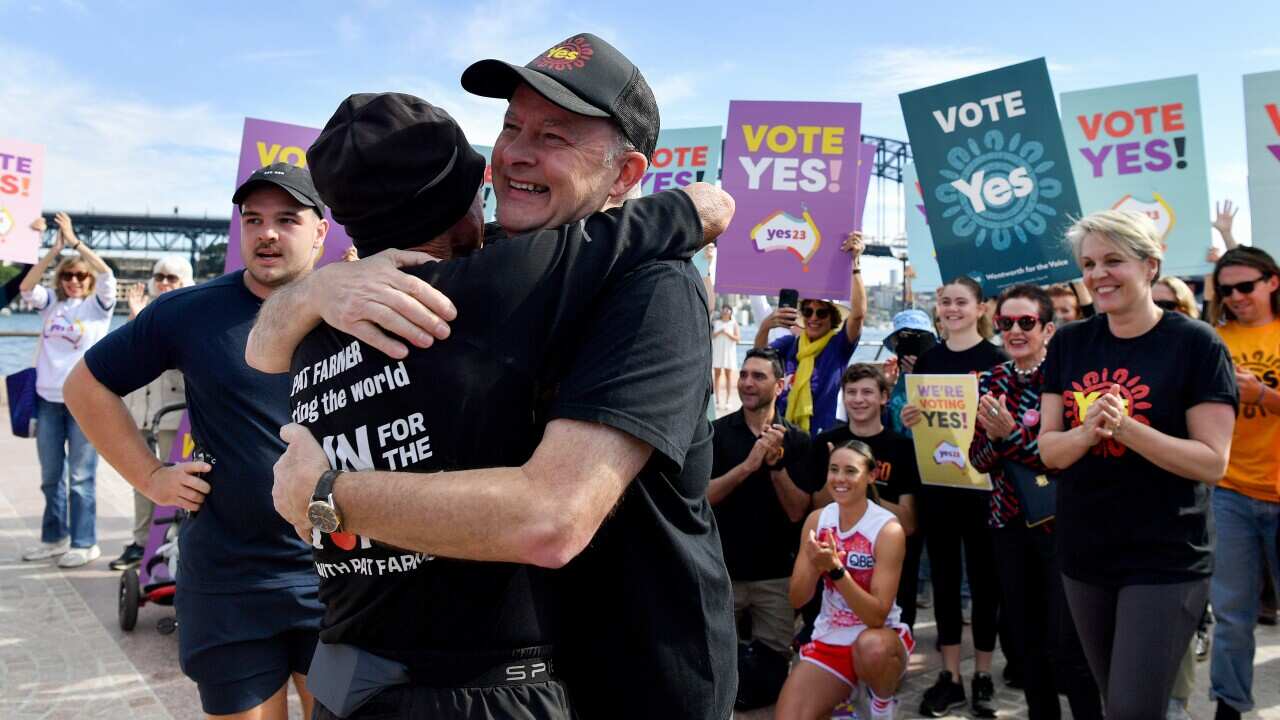 ANTHONY ALBANESE RUN FOR THE YES