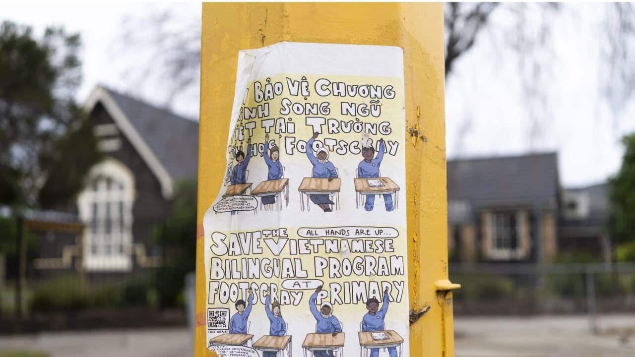 Image for read more article ''