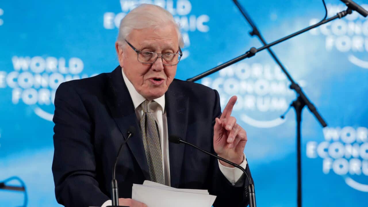 Sir David Attenborough, broadcaster and natural historian gestures as speaks after receiving a Crystal Award during a ceremony at the annual meeting of the World Economic Forum in Davos, Switzerland, Monday, Jan. 21, 2019