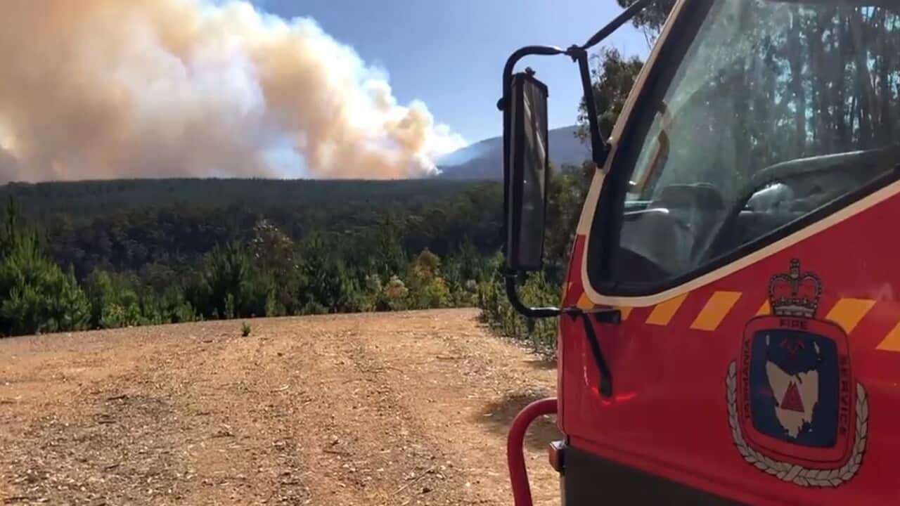 Tasmania's fire crews observe a blaze burning in the state's northeast.