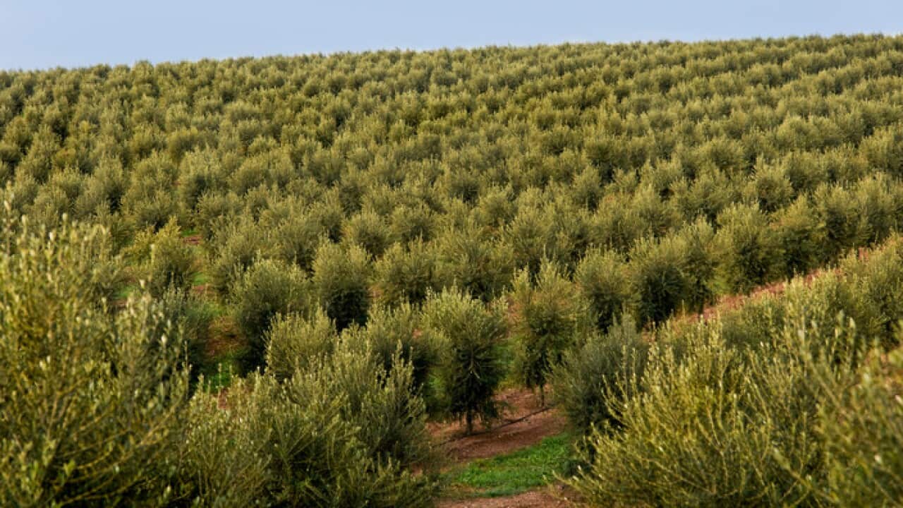Alentejo, Portugal