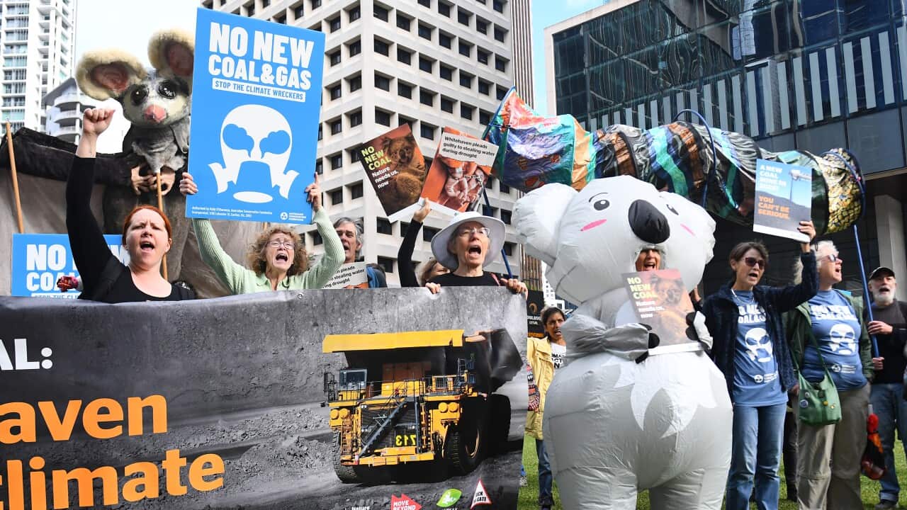 A group of protesters holding signs outside a Brisbane court