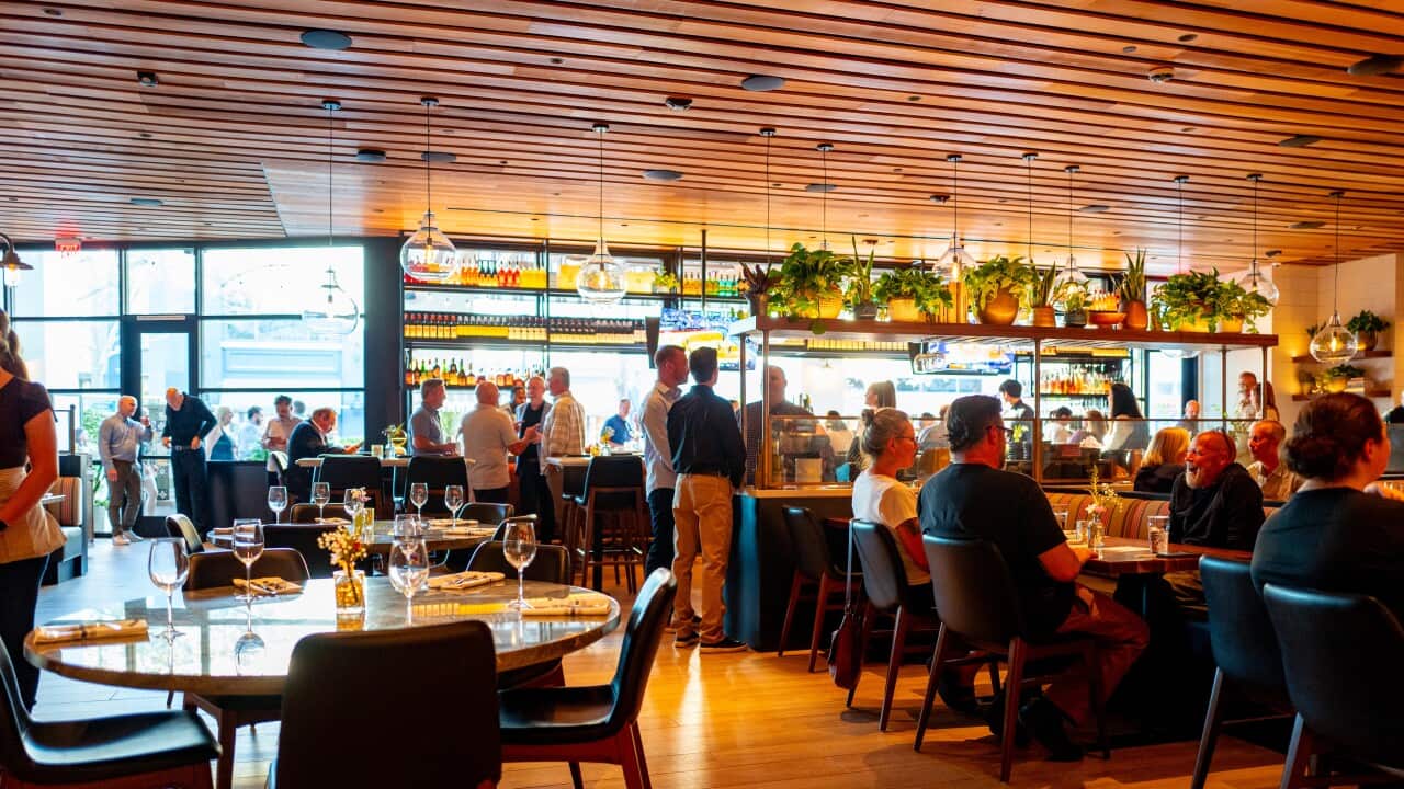 Restaurants, Food Chains and Brands