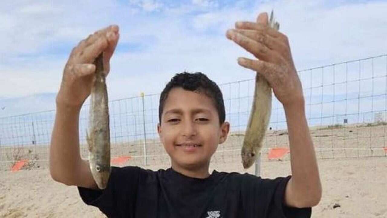 Laith Alaid.jpg