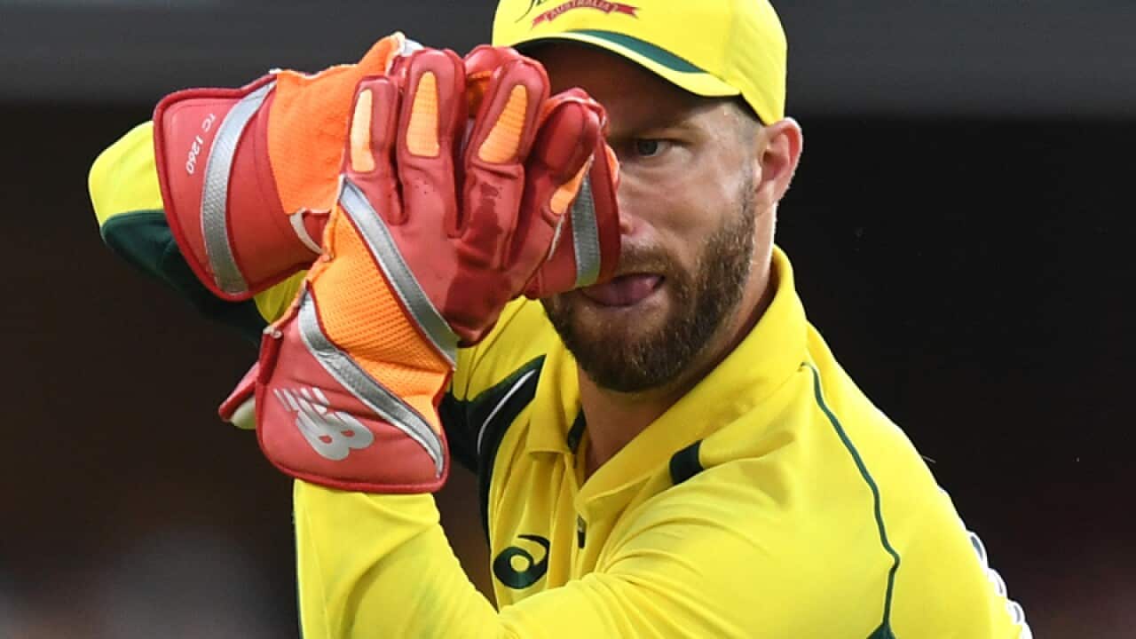 Australian wicketkeeper Matthew Wade