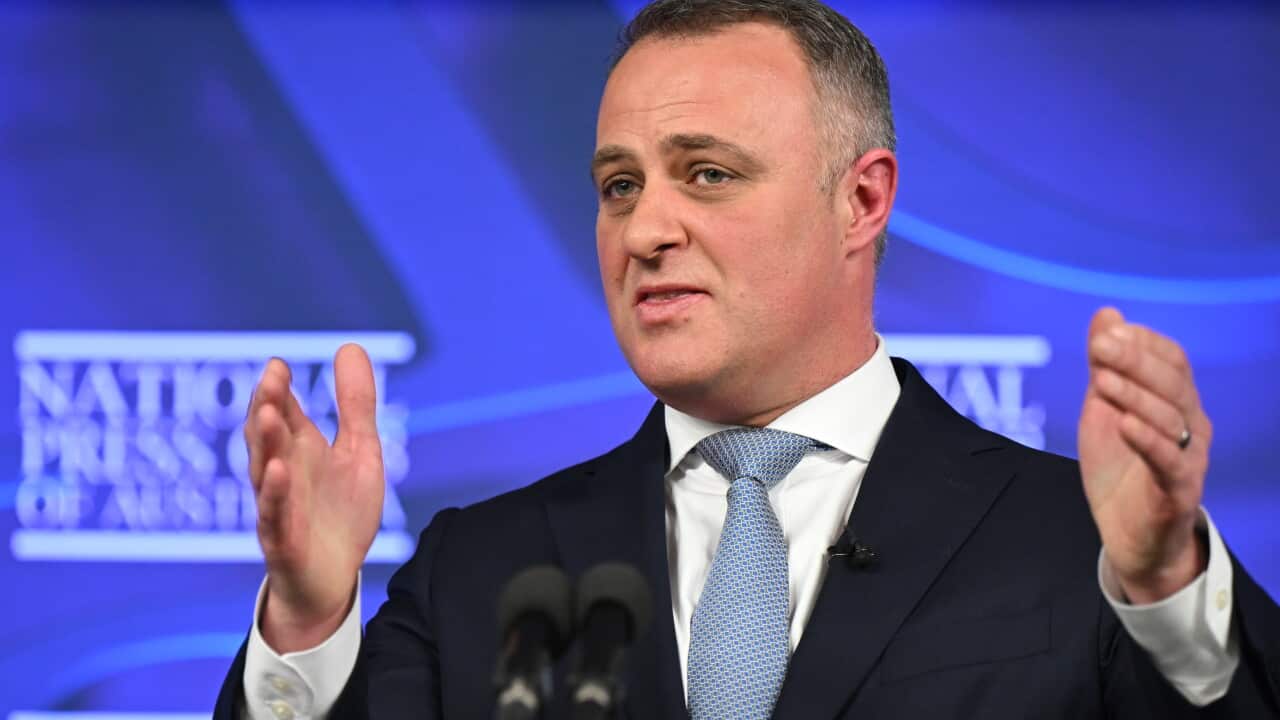 TIM WILSON BUDGET REPLY PRESS CLUB
