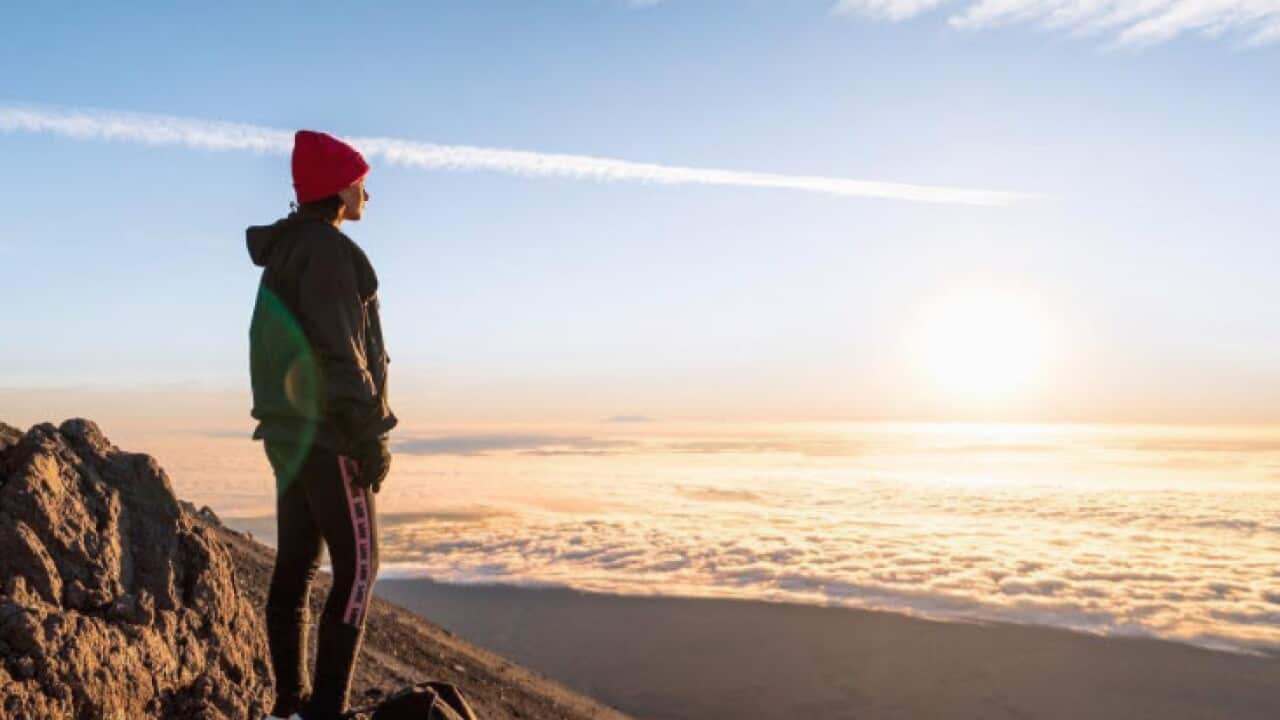 Mount Taranaki Playmate
