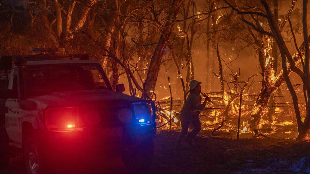 The 22,000-Hectare Fire That Ravaged An Australian State