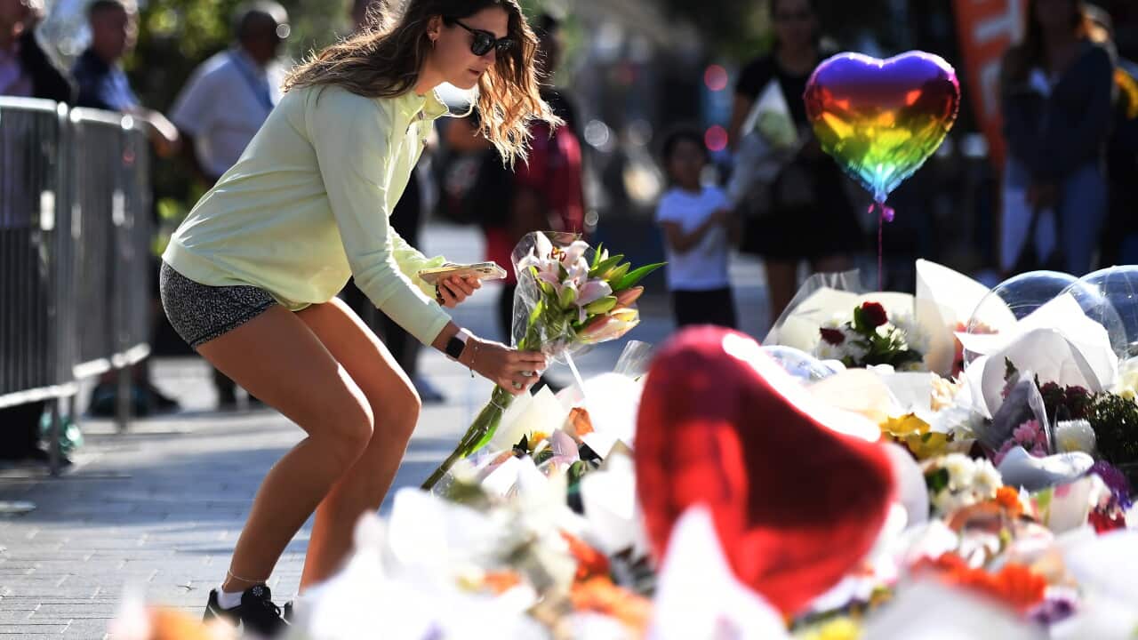 BONDI STABBING MASS MURDER REAX