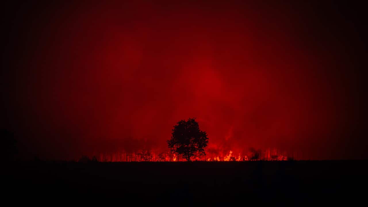 Forest fire in the area between Cestas and Marcheprime