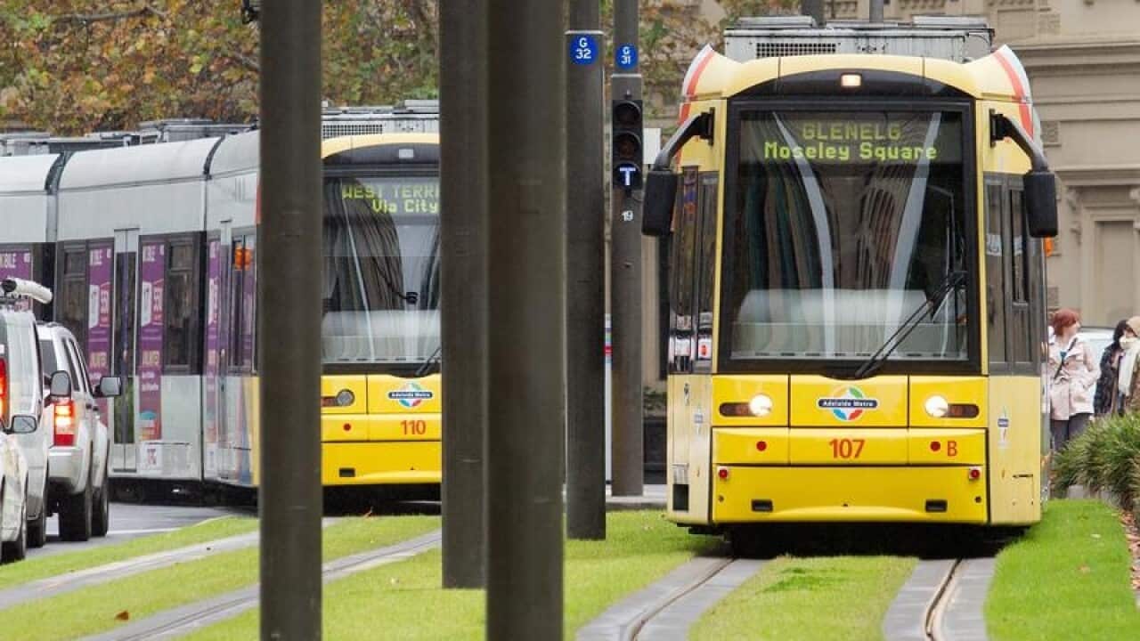 Trams travels through Adelaide's Victoria Square.