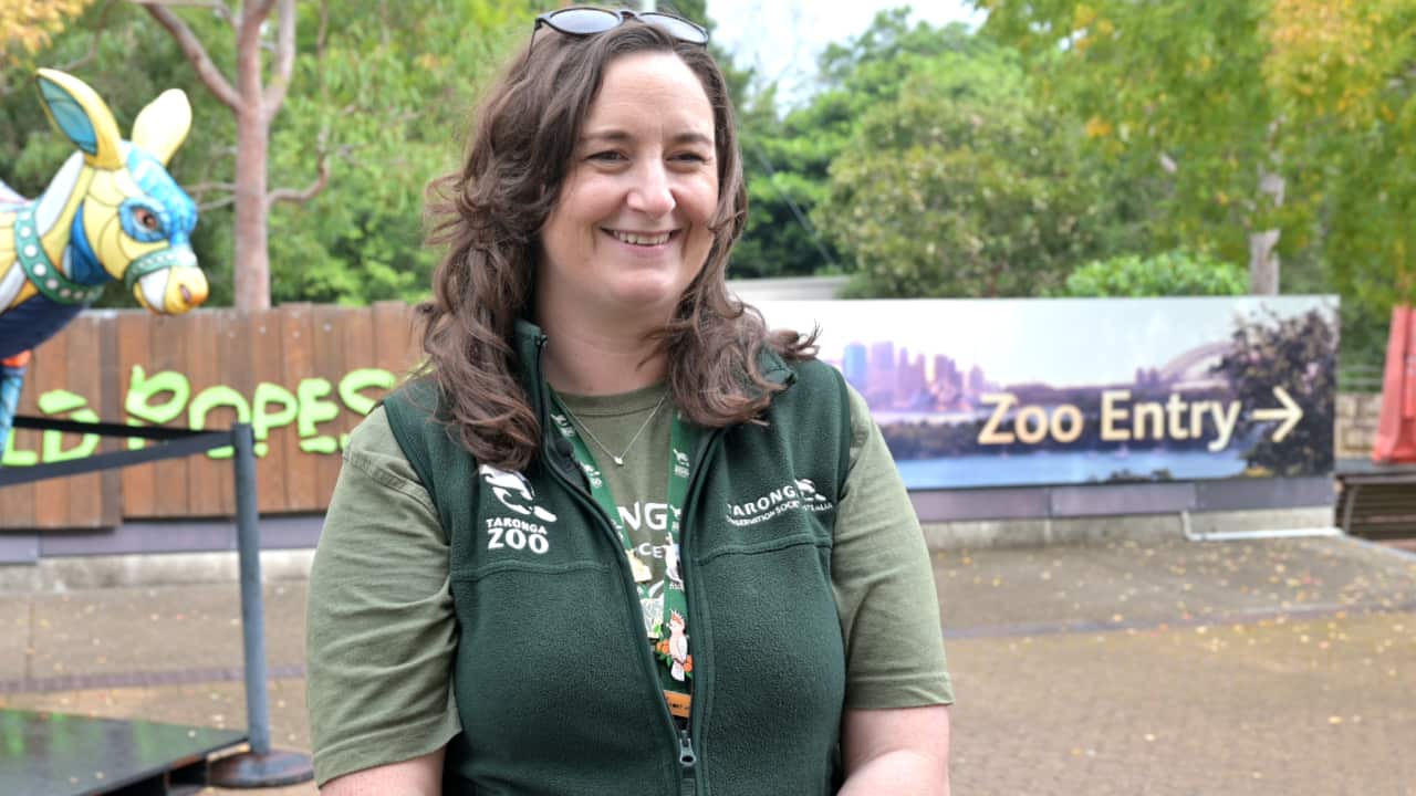 Danni Alty of Taronga Zoo Sydney speaks about volunteering opportunities at the zoo and how people can get involved.