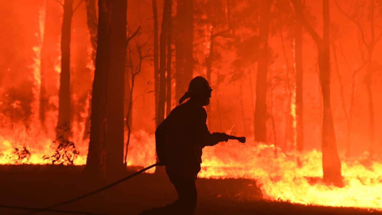 RFS volunteers and NSW Fire and Rescue officers protect a home near Colo Heights, south-west of Sydney.