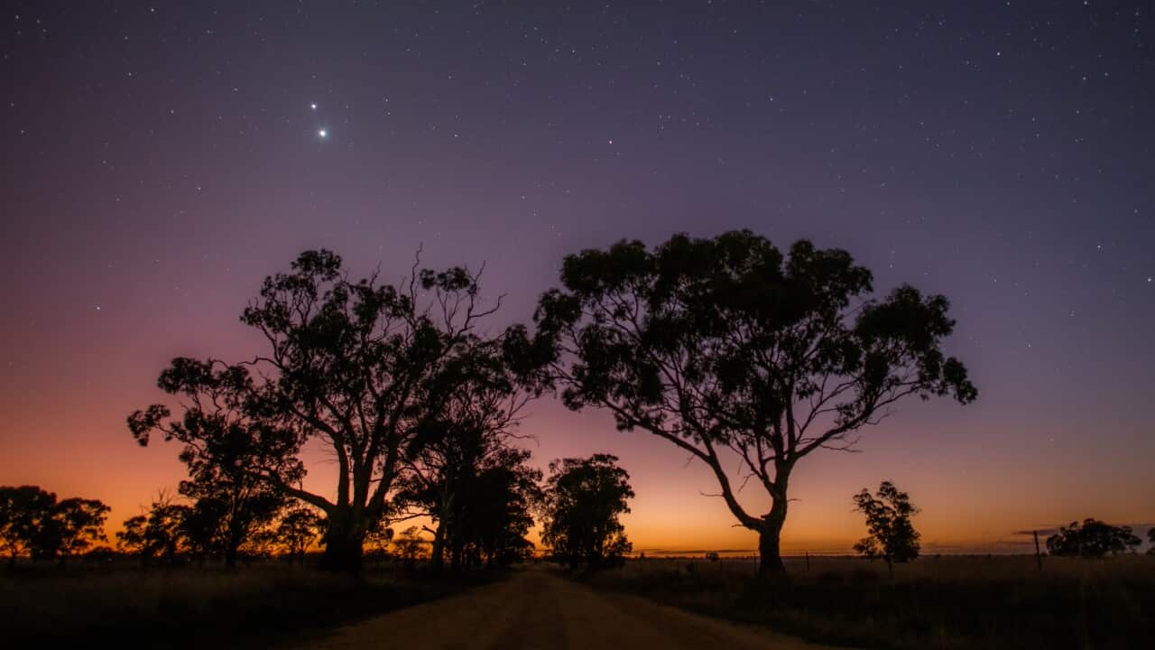 Early morning dawn along a country road
