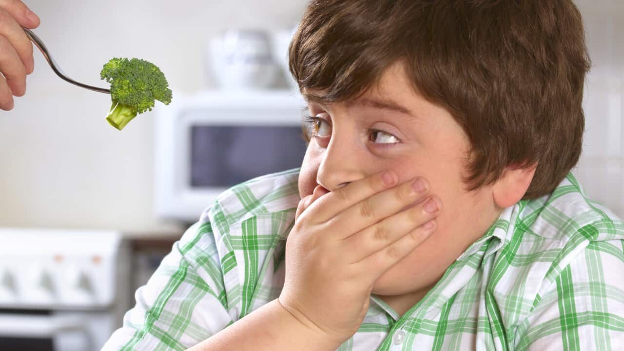 Overweight boy hates broccoli