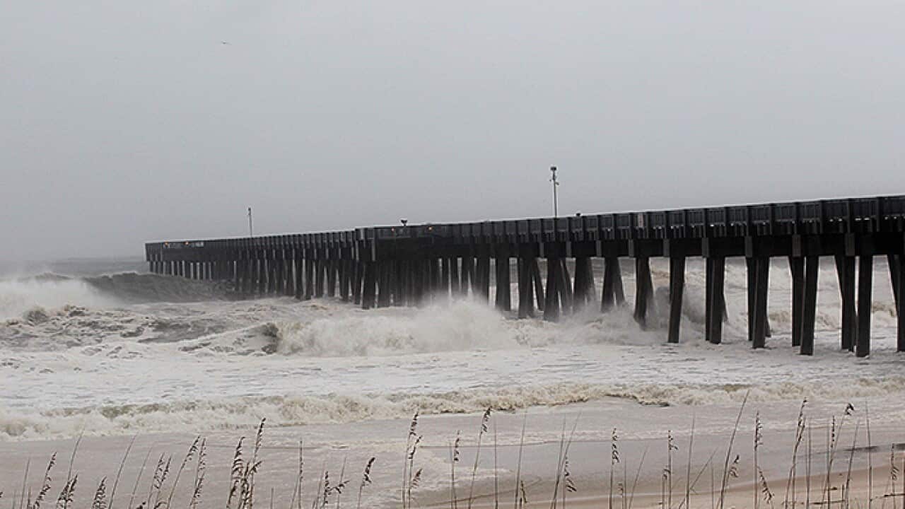 Hurricane Michael Watching - Florida