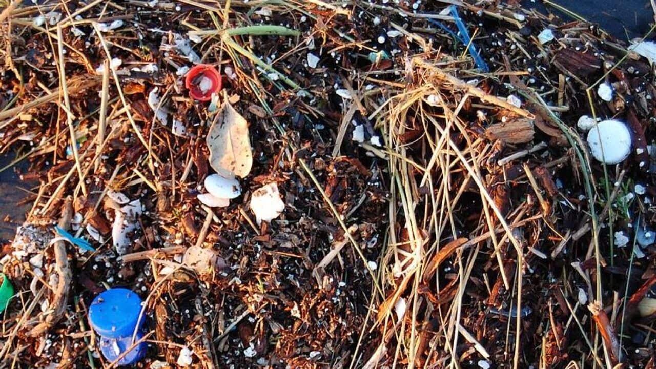 Plastik ist überall