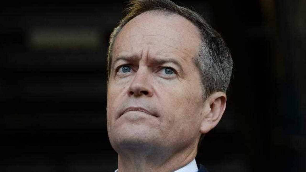 Leader of the Opposition Bill Shorten