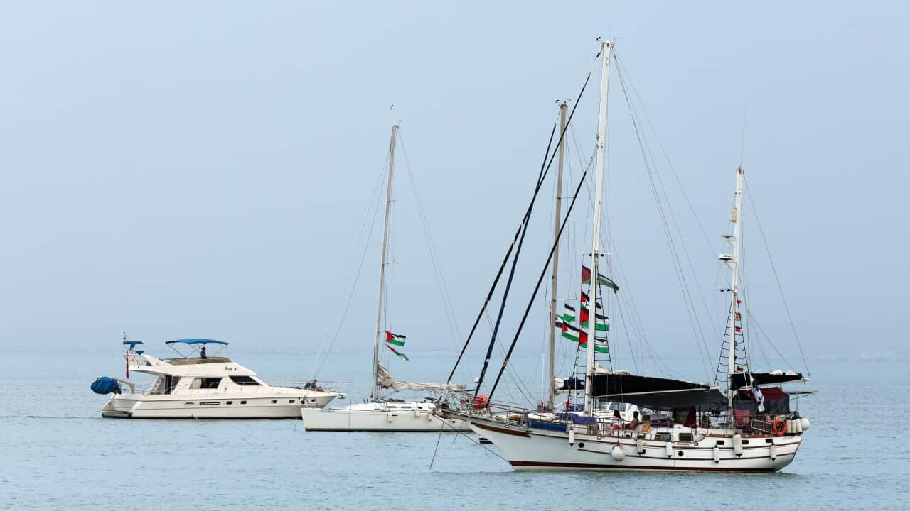 Boats in the water. Some have Palestinian flags on them.