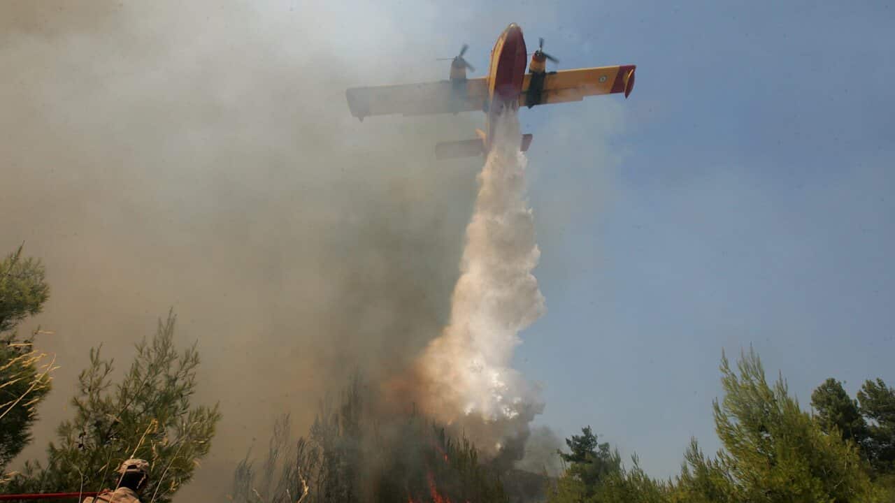 GREECE WILDFIRE