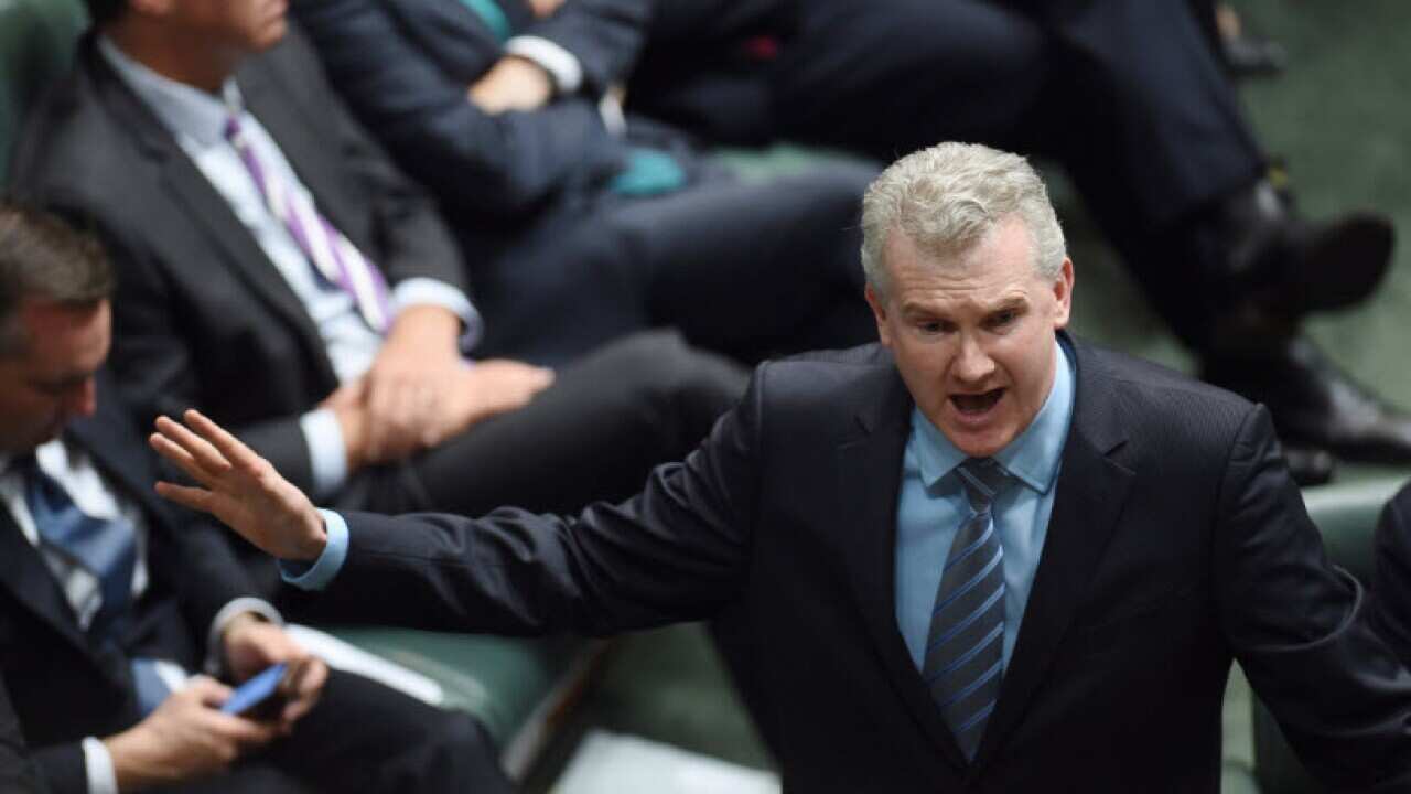 (AAP Image/Lukas Coch)