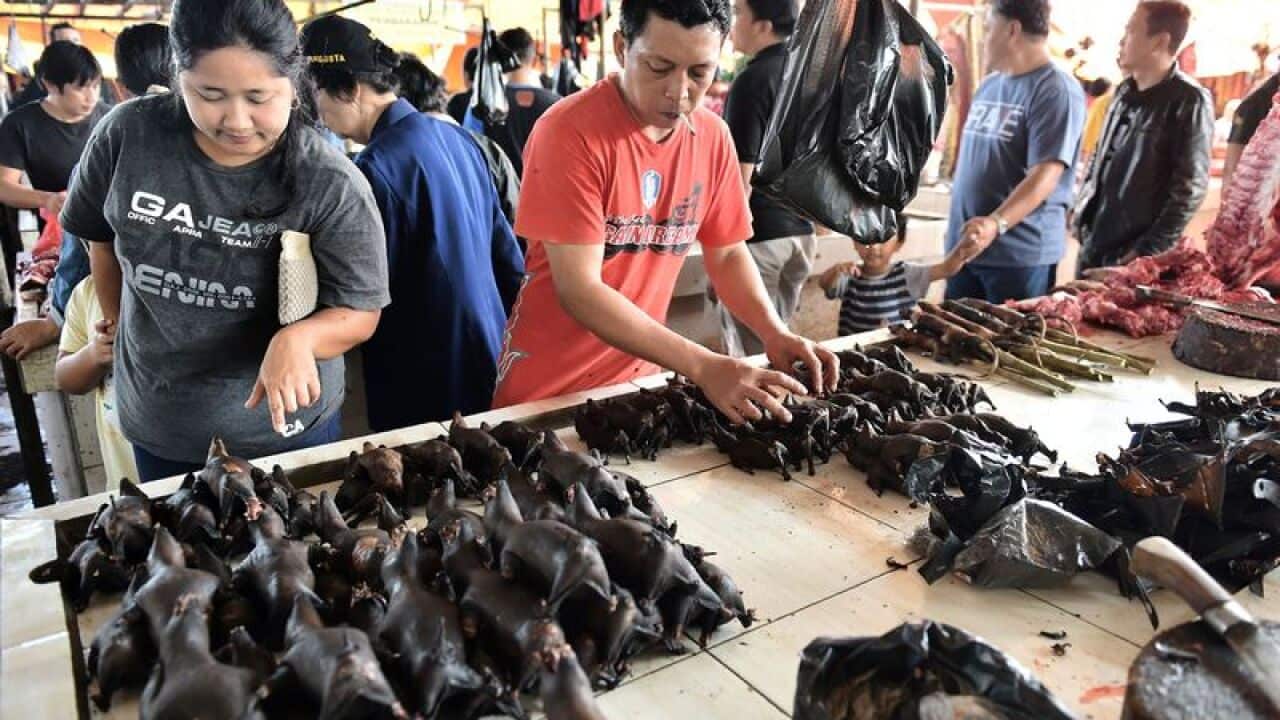 Bat meat is sold at a stall in Tomohon market in northern Sulawesi