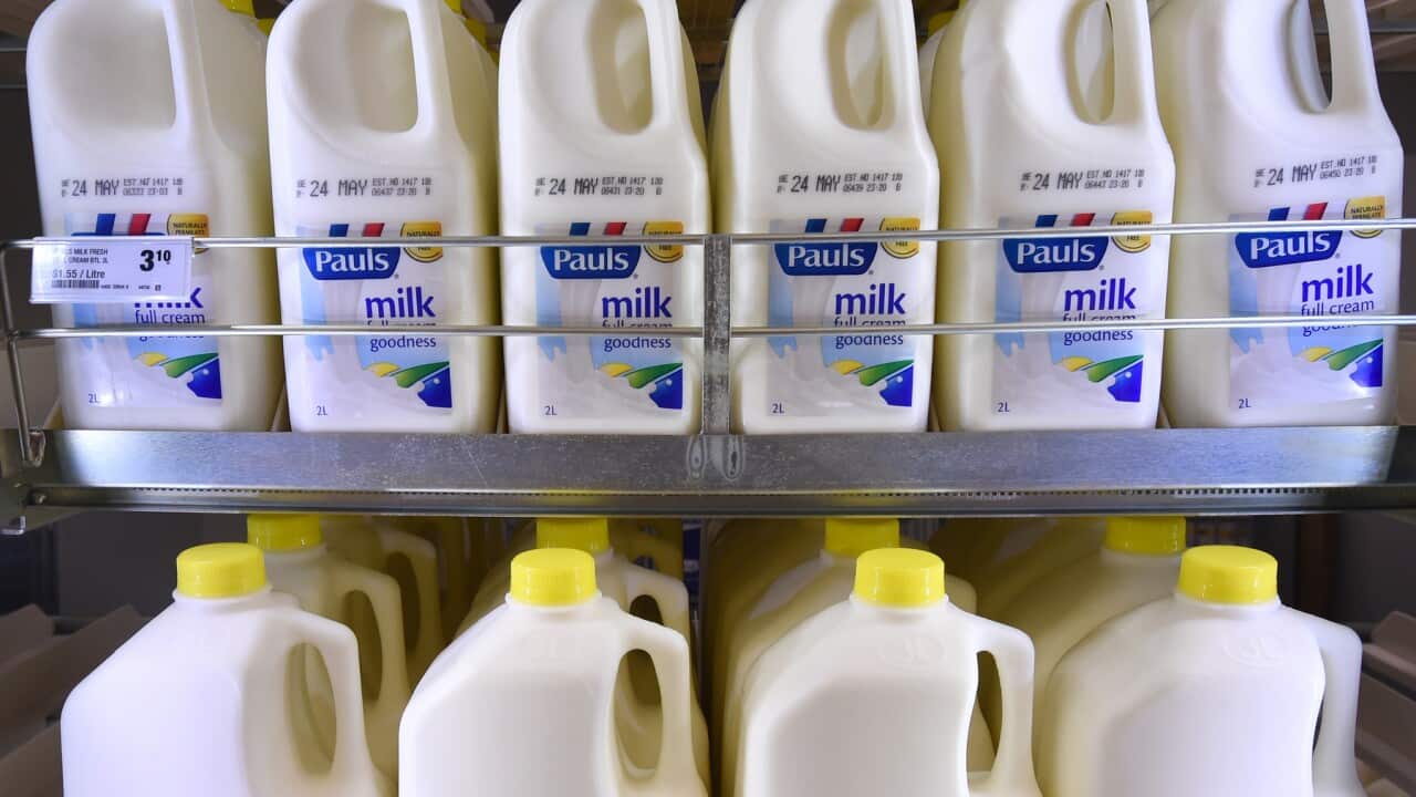 A stock image of milk bottles in a new Woolworths supermarket in Everton Park in Brisbane's northern suburbs, Monday, May 11, 2015. (AAP Image/Dan Peled) NO ARCHIVING