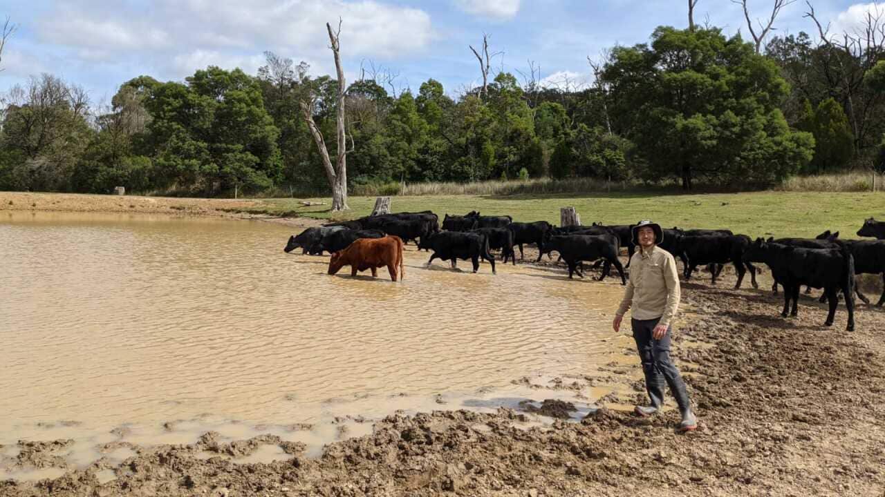 Il Dr Martino Malerba studia come migliorare la produttività e la sostenibilità delle dighe agricole in Australia. (2024)
