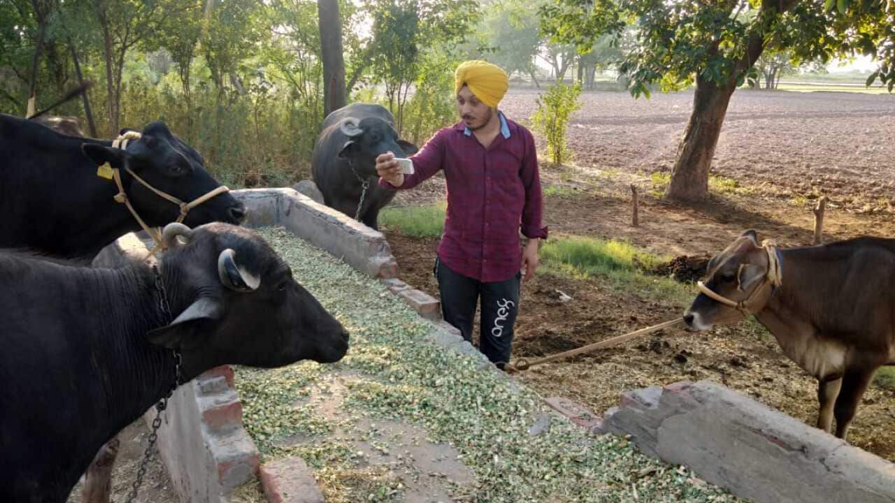 Image for read more article ''