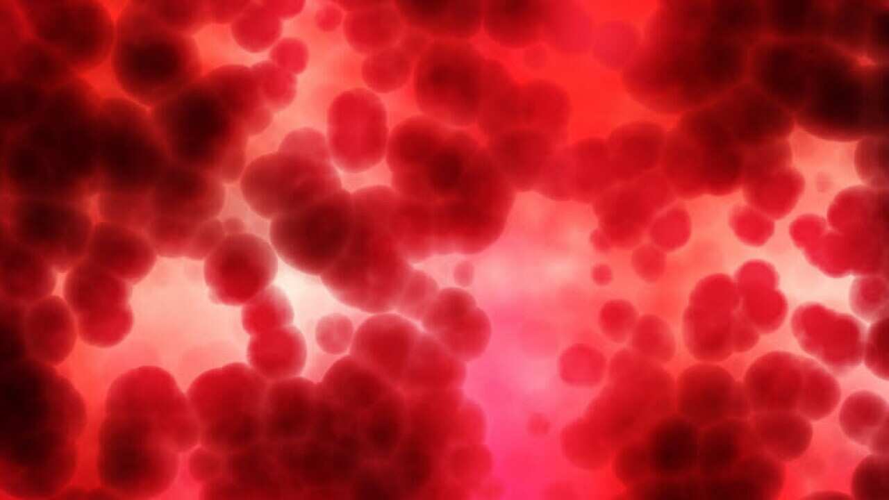 The importance of iron for the human body