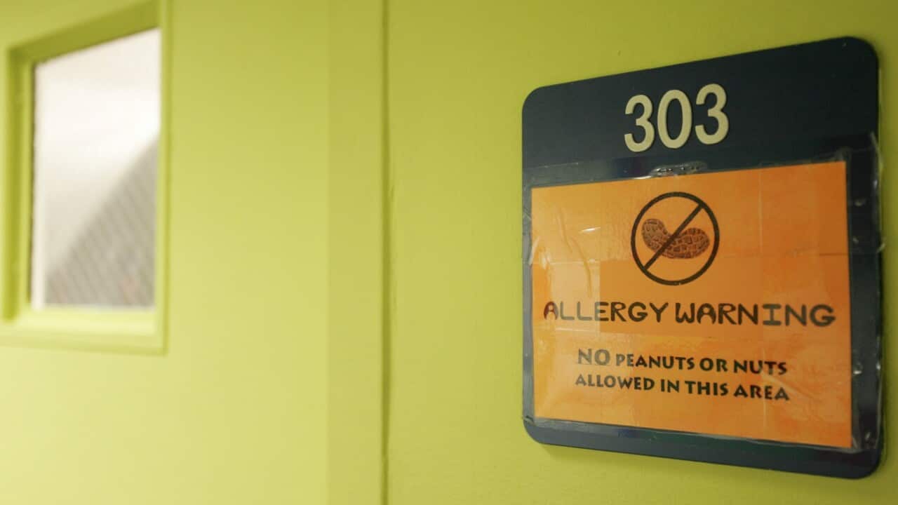 Peanuts and Nuts Banned at School (Getty)