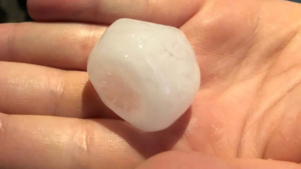 A large piece of hail after a storm in Sydney.