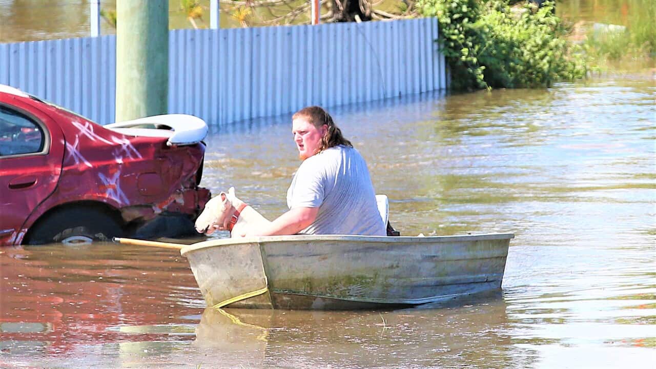 Image for read more article ''