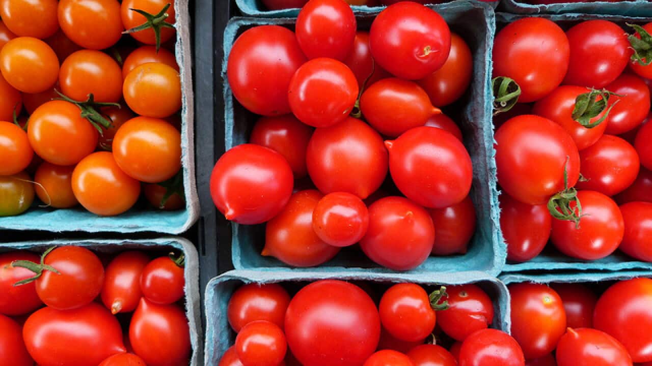 Tomatoes
