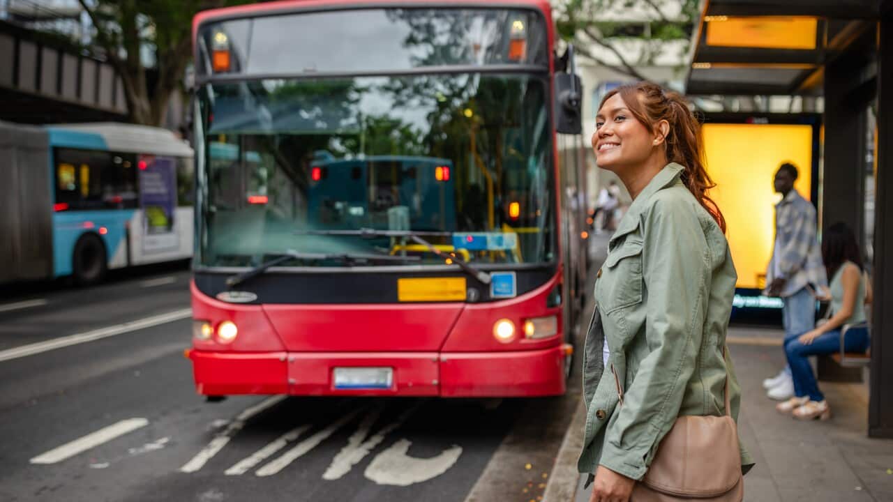 Smiling young woman waits for bus on busy street in Sydney, enjoying time outdoors with friends