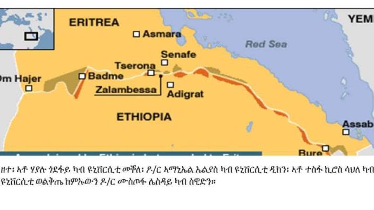 SBS Interview Tigrinya
