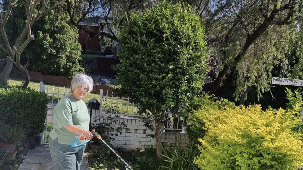 Noha Francies in Backyard.jpg