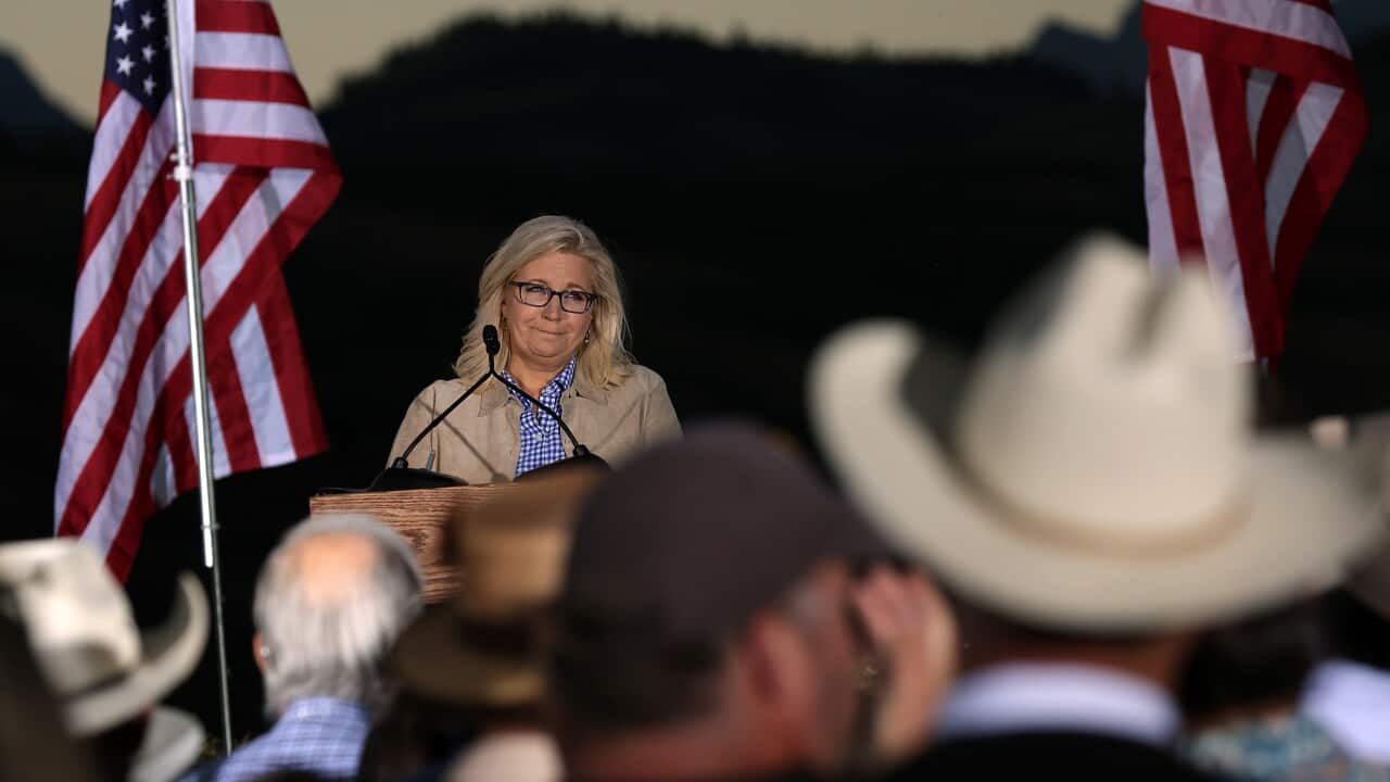 GOP Congressional Candidate Liz Cheney Holds Election Night Event