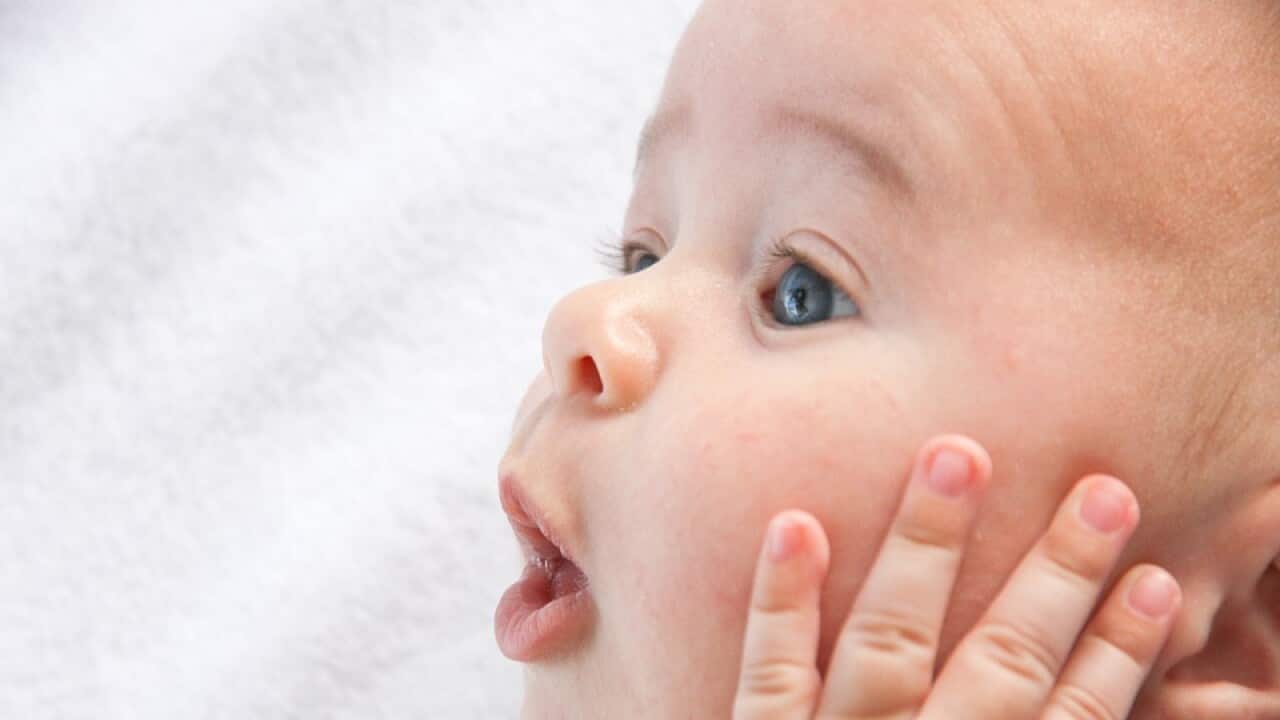 Little Portrait Boy Child Sweet Baby Cute Infant
